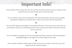 Wix Website Template | Blush & Black