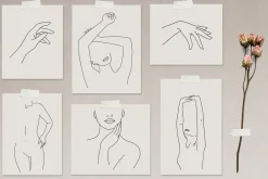 Woman Line Art Collection