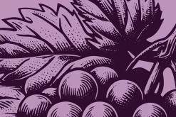 Woodcut-Style Wine Grapes