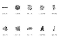 Wooden Texture Brushes - Photoshop