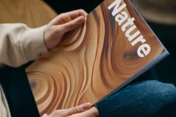 Wooden Waves. Collection