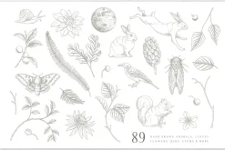 Woodland Wonders: 2 in 1 Graphic Set