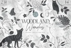 Woodland Wonders: 2 in 1 Graphic Set