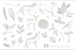 Woodland Wonders: 2 in 1 Graphic Set