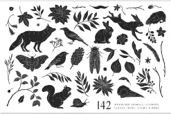 Woodland Wonders: 2 in 1 Graphic Set