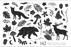 Woodland Wonders: 2 in 1 Graphic Set