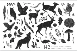 Woodland Wonders: 2 in 1 Graphic Set
