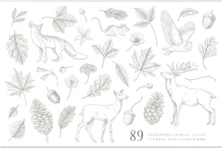Woodland Wonders: 2 in 1 Graphic Set