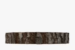 Wood Log Slice