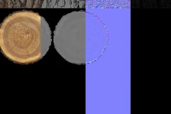 Wood Log Slice