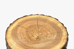 Wood Log Slice