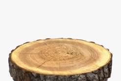 Wood Log Slice
