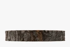 Wood Log Slice
