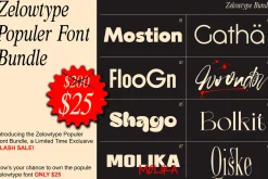 Woonder - Script Font