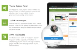 Wordpress Marketplace Theme