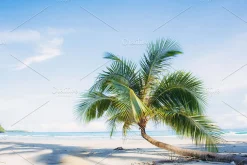 12x Lightroom Presets, Pastel Beach