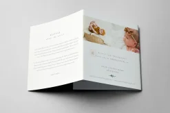 5x5 Accordion Trifold Brochure