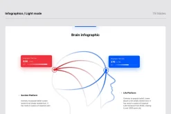 X - Multipurpose Presentation