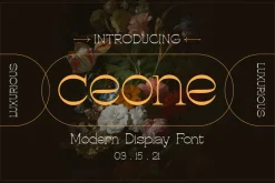 Year End Sale Font Bundle