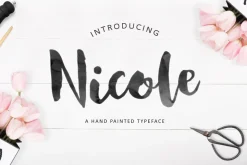 Year End Sale Font Bundle
