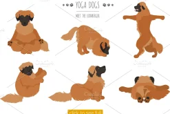 Yoga dogs collection (vol.4)