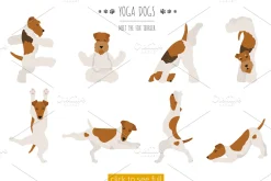 Yoga dogs collection (vol.4)