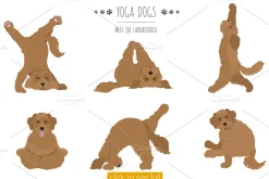Yoga dogs collection (vol.4)