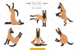 Yoga dogs collection (vol.4)