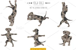 Yoga dogs collection (vol.4)