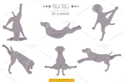 Yoga dogs collection (vol.4)