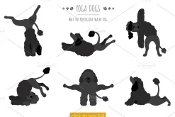 Yoga dogs collection (vol.4)