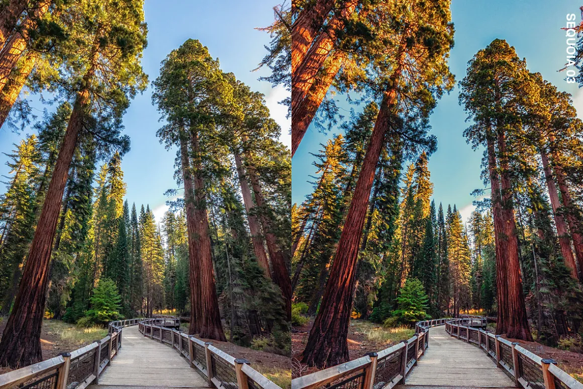 25 Yosemite Lightroom Presets LUTs