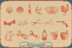 Young Fighter Vintage Display
