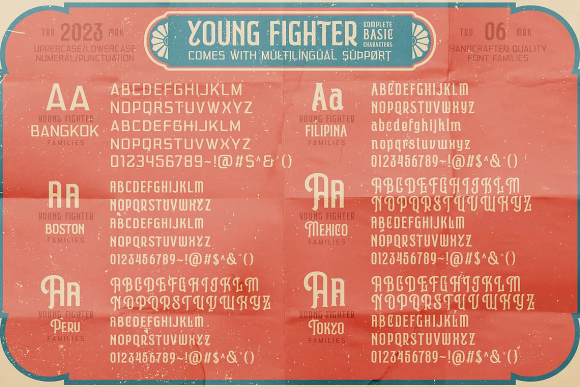 Young Fighter Vintage Display