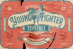 Young Fighter Vintage Display