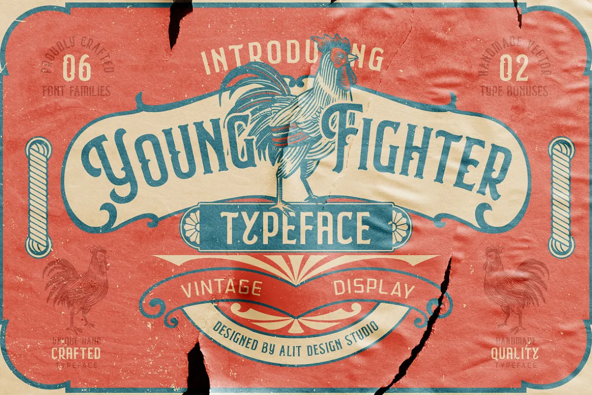 Young Fighter Vintage Display