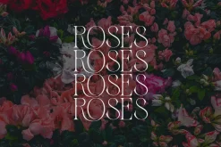 Zaslia - Elegant Ligature Serif