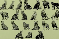 330 ZOO Animals vector illustrations