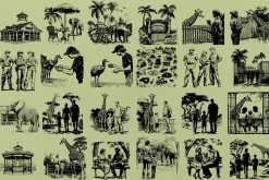 330 ZOO Animals vector illustrations
