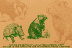 330 ZOO Animals vector illustrations
