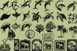 330 ZOO Animals vector illustrations