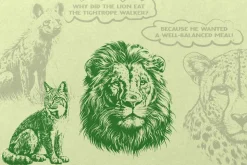 330 ZOO Animals vector illustrations