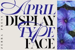 ZP APRIL - Luxury Hybrid Font