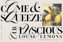 ZP APRIL - Luxury Hybrid Font