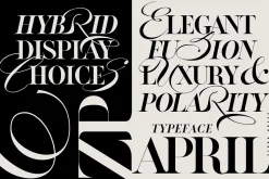 ZP APRIL - Luxury Hybrid Font