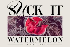 ZP APRIL - Luxury Hybrid Font